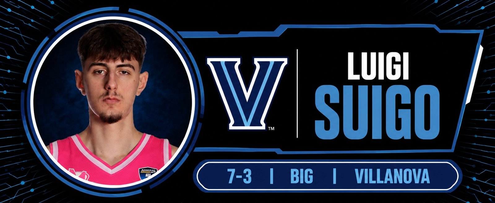 luigi suigo banner